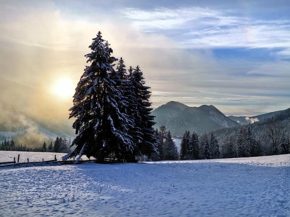 Der Torwirt Radstadt Dış mekan fotoğraf